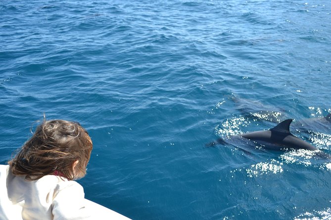 2-Hours Dolphin Excursion in Mauritius - JPH Charters: check-in, setup, and what that 40 minutes buys you