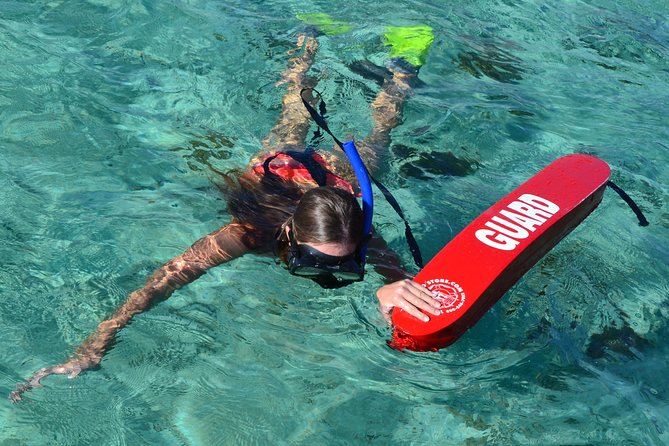 2-Hours Dolphin Excursion in Mauritius - Price and value: $63.97 for a guided swim with gear