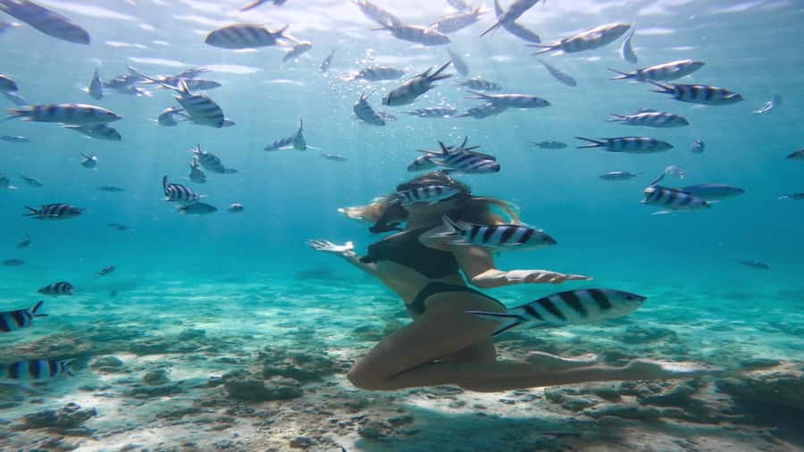 5 Islands Private Speedboat w/ Snorkeling + Lunch & Drinks - Private boat comfort and timing: the good and the watch-outs