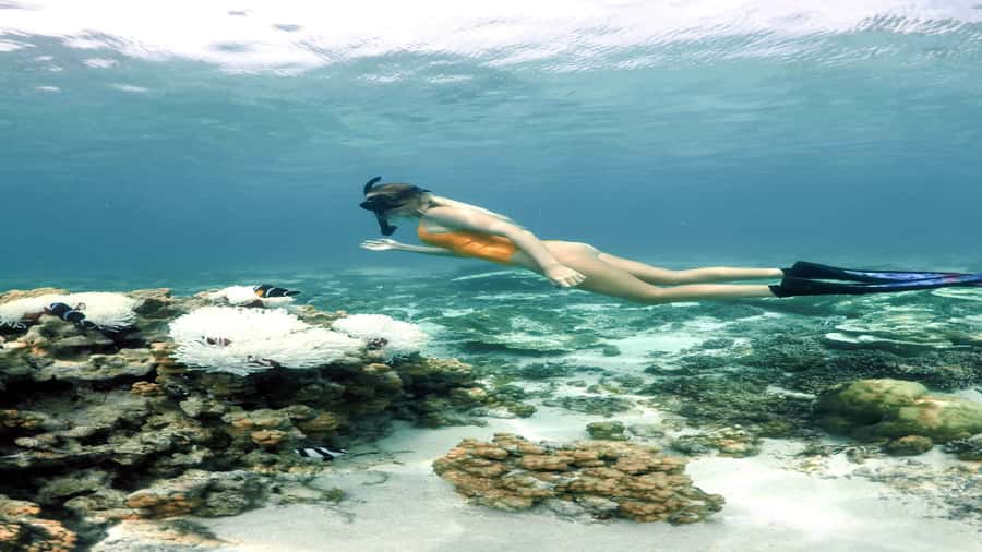 5 Islands Private Speedboat w/ Snorkeling + Lunch & Drinks - Who this tour suits best (and who might not love it)