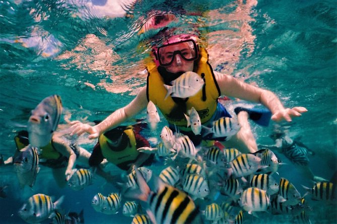 5 Islands Speedboat Cruise incl. Snorkeling in Blue Bay + Lunch at Ile aux Cerfs - Ile aux Fouqets lighthouse island: quick history, big silhouette