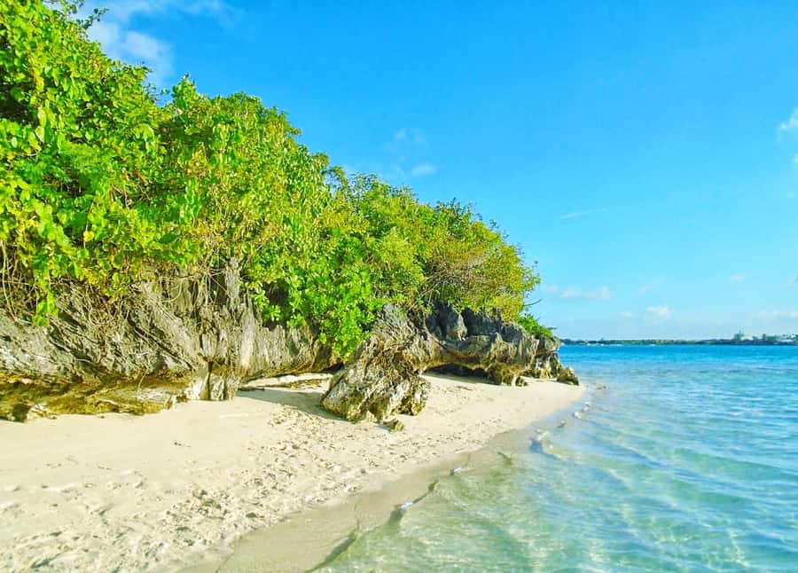 5 Islands Trip & Ile aux Cerfs inc Lunch, Drinks & Transport - Key Highlights You Should Know Before You Go