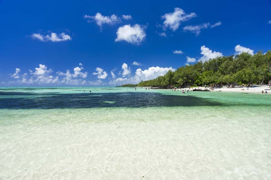 5 Islands Trip & Ile aux Cerfs inc Lunch, Drinks & Transport - Ilot Mangenie Beach Barbecue Lunch and Local Drinks