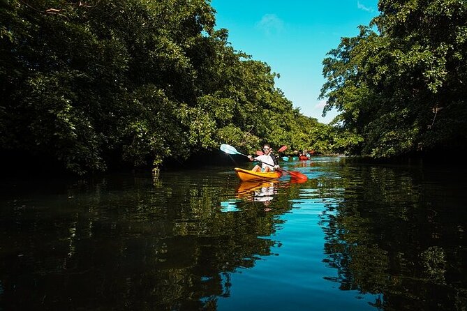 Afternoon Guided Kayak Activity on the Tamarin River - The Guides and the Safety Feel in a Max 8 Group