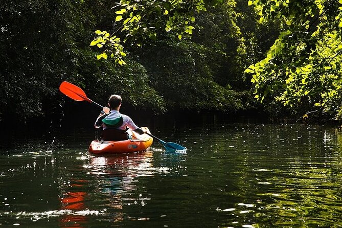 Afternoon Guided Kayak Activity on the Tamarin River - Timing on the Water: Why 2 Hours 30 Minutes Works