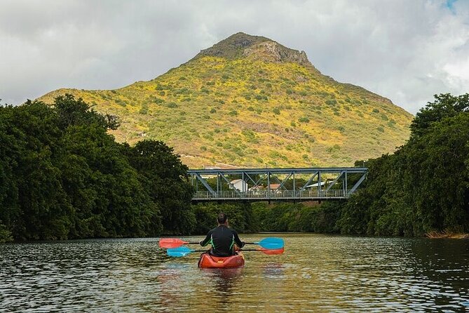 Afternoon Guided Kayak Activity on the Tamarin River - Who This Kayak Tour Suits Best