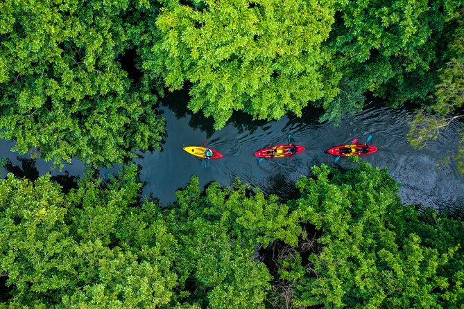 Afternoon Guided Kayak Tour on the Tamarin River - Tamarin River in the late day, a calmer Mauritius you can paddle