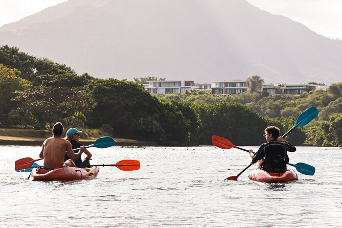 Afternoon Guided Kayak Tour on the Tamarin River - The 2 hours 30 minutes plan, and what it really means on the water