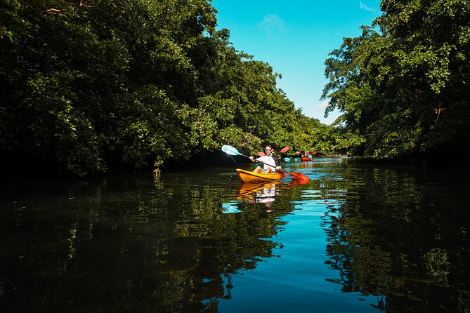 Afternoon Guided Kayak Tour on the Tamarin River - Where you meet and how the start usually feels
