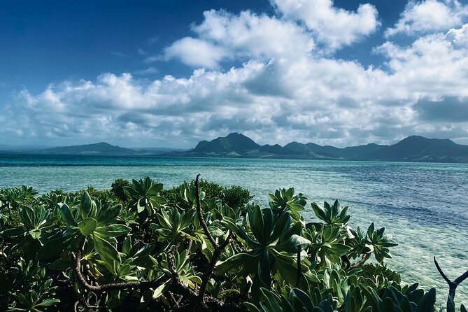 An Excursion of the South East Lagoon of Mauritius - Key highlights at a glance