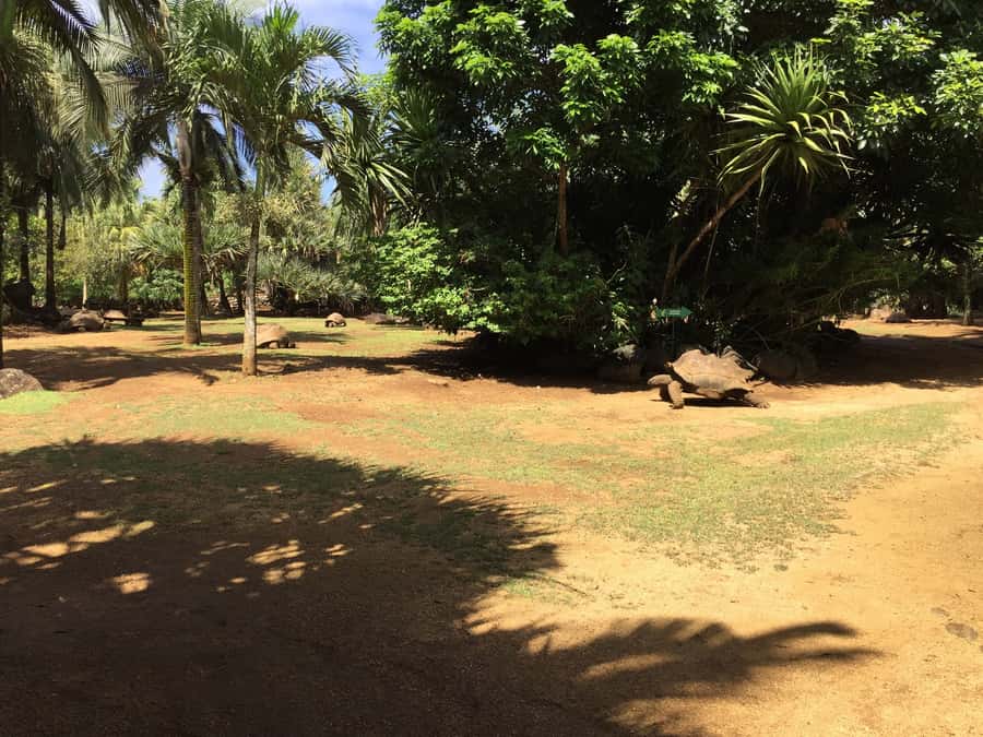 Animal & Nature Parks, Private Tour - 23 Coloured Earth: A Geology Stop That Stays Visual