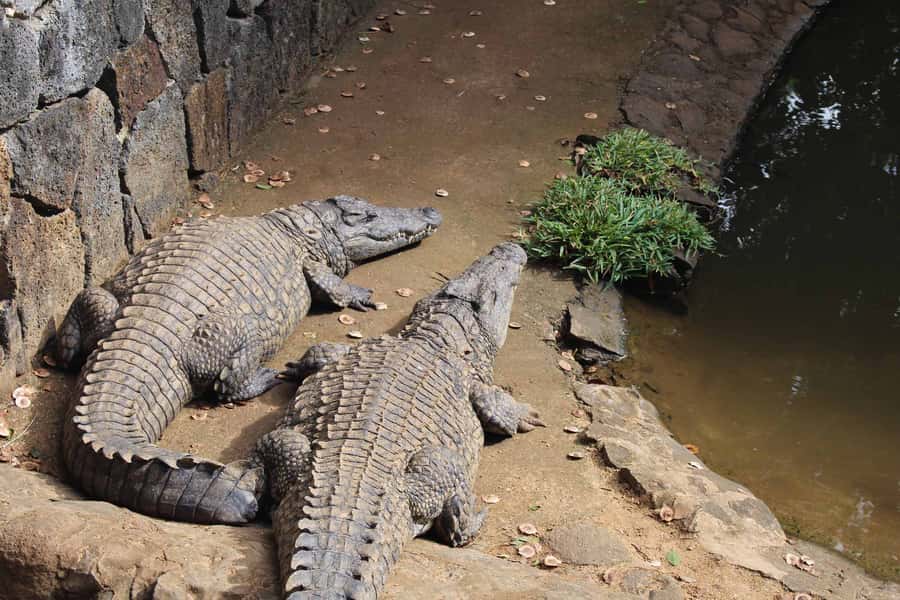 Animal & Nature Parks, Private Tour - The South Route, Without the Overplanning Stress