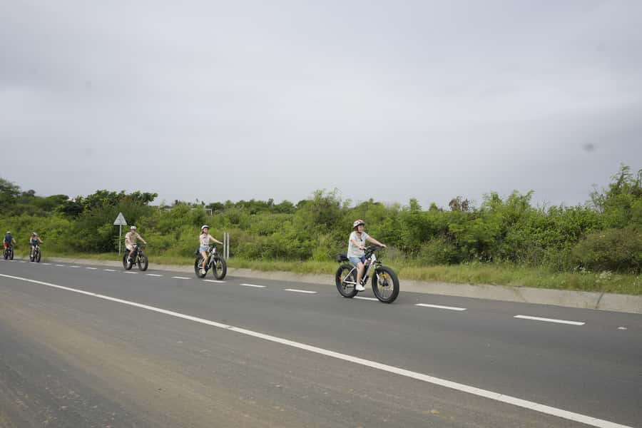 Authentic North East Coast E-bike Guided Tour - Lunch in authentic Mauritian style, with vegetarian options