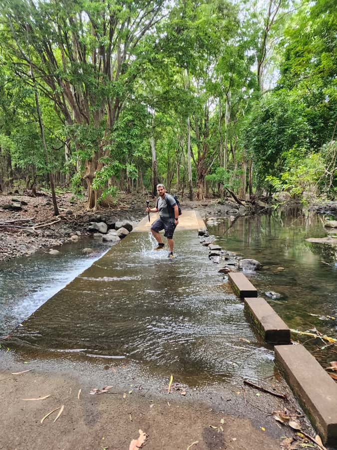 Black River: Guided Hike in the Black River Gorges Valley - Key things I’d focus on before you go