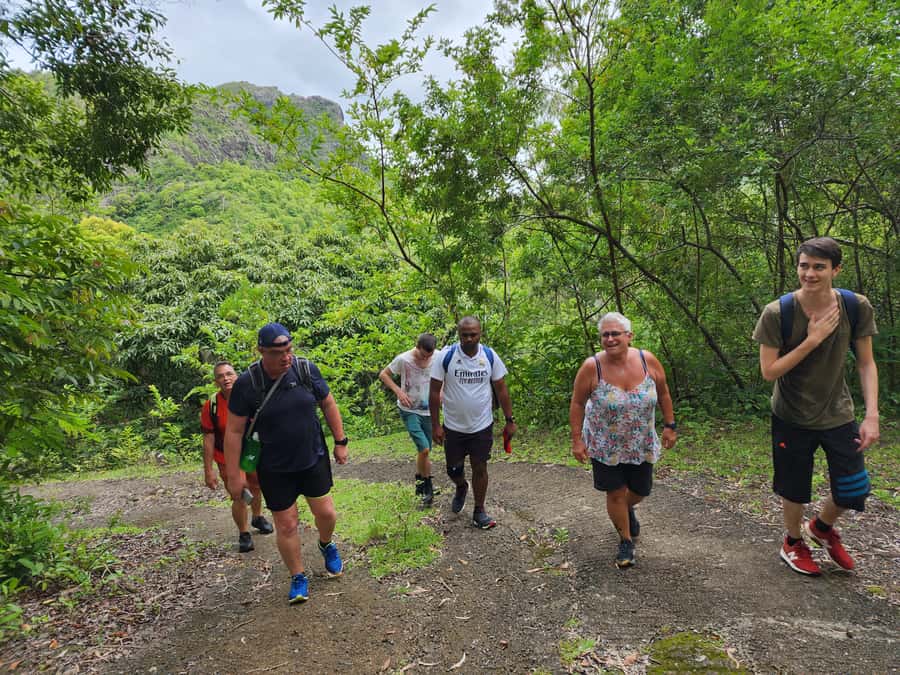 Black River: Guided Hike in the Black River Gorges Valley - Forest views and protected wildlife you can actually spot