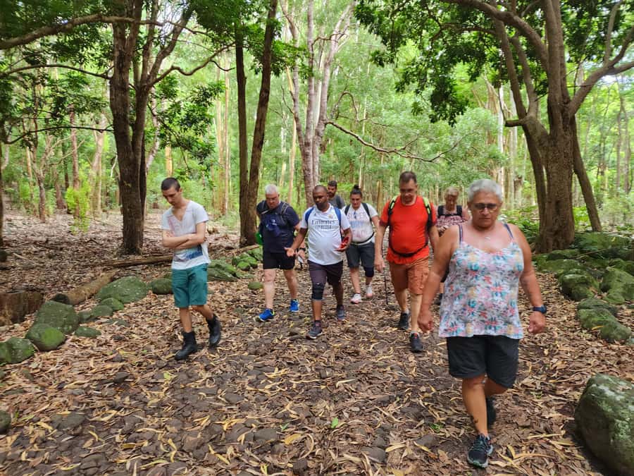 Black River: Guided Hike in the Black River Gorges Valley - Guides, small groups, and why the tone matters