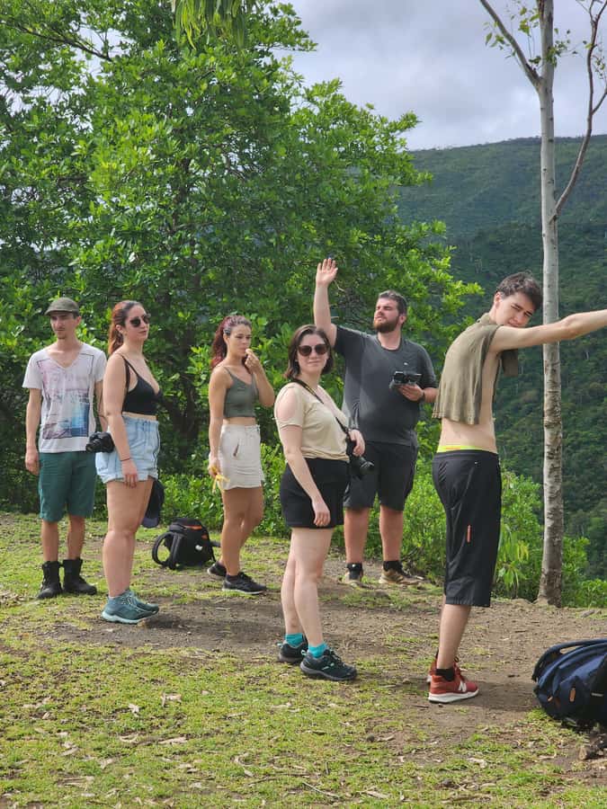 Black River: Guided Hike in the Black River Gorges Valley - Before you book: what to watch for