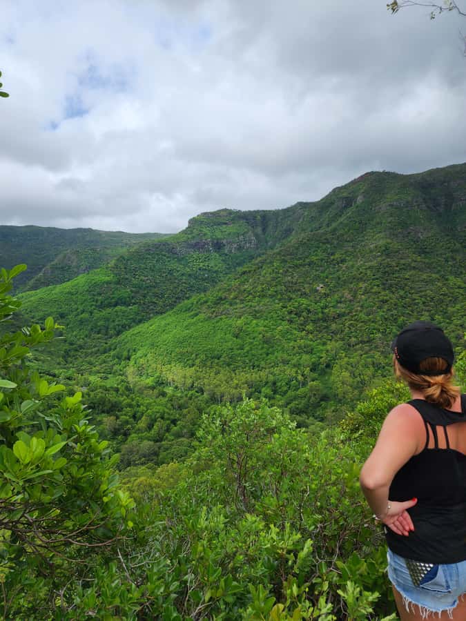 Black River: Guided Hike in the Black River Gorges Valley - Your 4-hour route in the Black River Gorges Valley