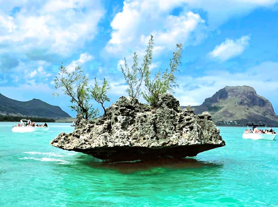 Black River: Swim with Dolphin Speed Boat Tour with lunch - Ile aux Bénitiers Lunch: BBQ, Drinks, and Beach Time