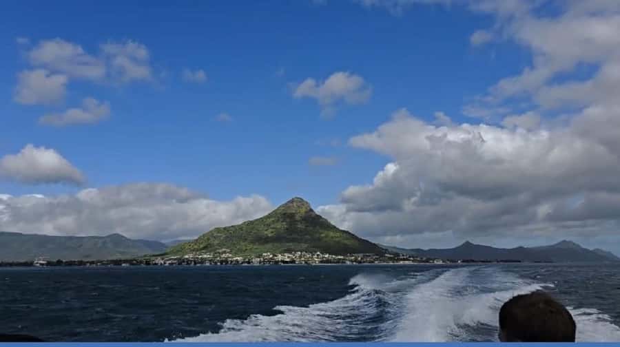 Black River: Swim with Dolphin Speed Boat Tour with lunch - Should You Book This Tour?
