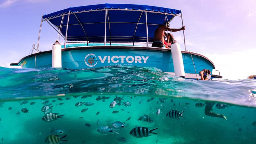 Blue Bay: Blue Bay Glass Bottom Boat Visit and Snorkeling - Snorkeling in clear water: beginner comfort and real depth
