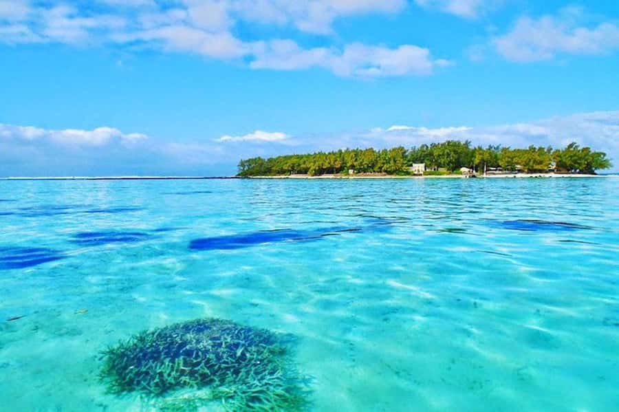 Blue Bay Glass Bottom Boat, Adventure Park & Gris Gris - Blue Bay Marine Park: glass-bottom boat, then snorkeling