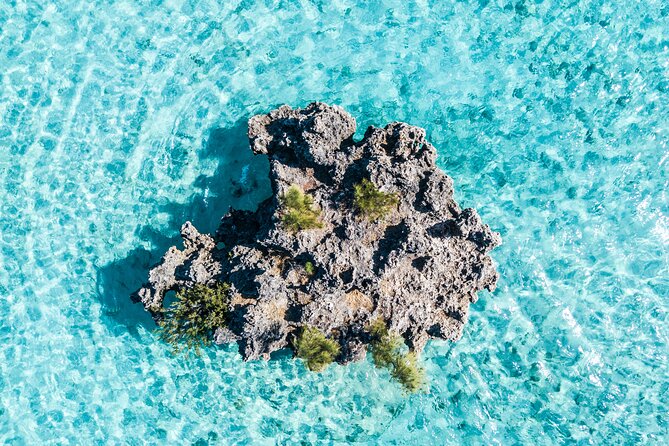 Car Hire for a Day with Driver - 8 Hours - Why an 8-hour private driver makes Mauritius feel personal