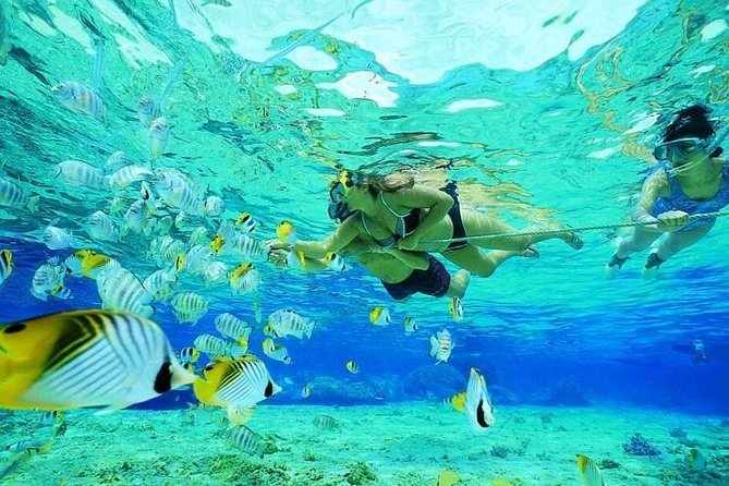 Catamaran Adventure Full Day: Ile aux cerfs,GRSE Waterfall,Snorkeling &BBQ Lunch - Who This Tour Suits Best (and Who Should Rethink It)
