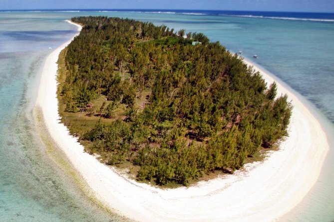 Catamaran Cruise to Ile Aux Bénitiers: Dolphin watch, Crystal Rock & Transfer - Snorkeling Reality: Gear Can Vary, So Plan Like a Pro