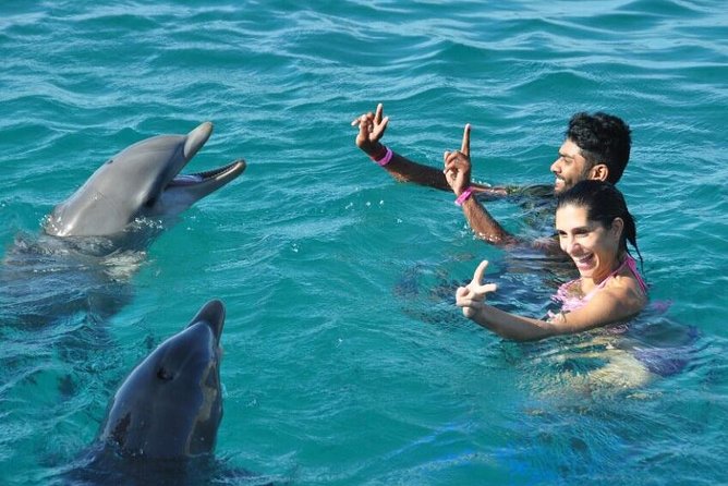 Catamaran Cruise to Ile Aux Bénitiers: Dolphin watch, Crystal Rock & Transfer - Transfers and Timing: The Part People Forget to Budget