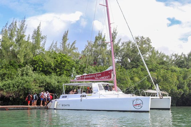 Catamaran cruise to Ile aux cerfs with bbq lunch - Morning sail toward GRSE waterfalls, with wildlife chances on the way