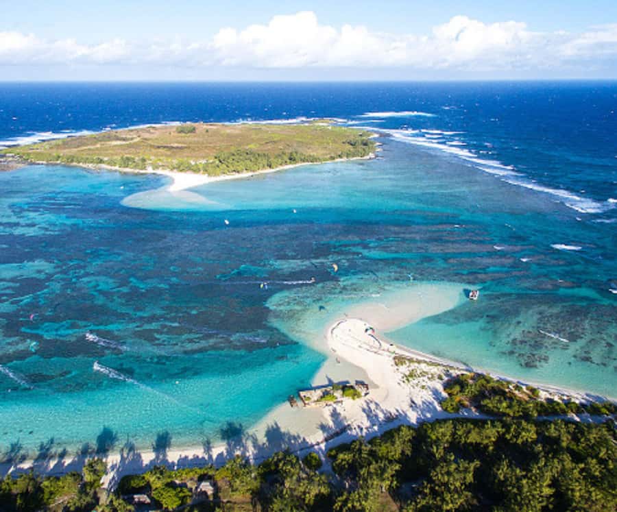 Catamaran Mauritius Cruise in the North Coasts - Coin de Mire Aquarium Stop: Swim and Snorkel With Reef Fish