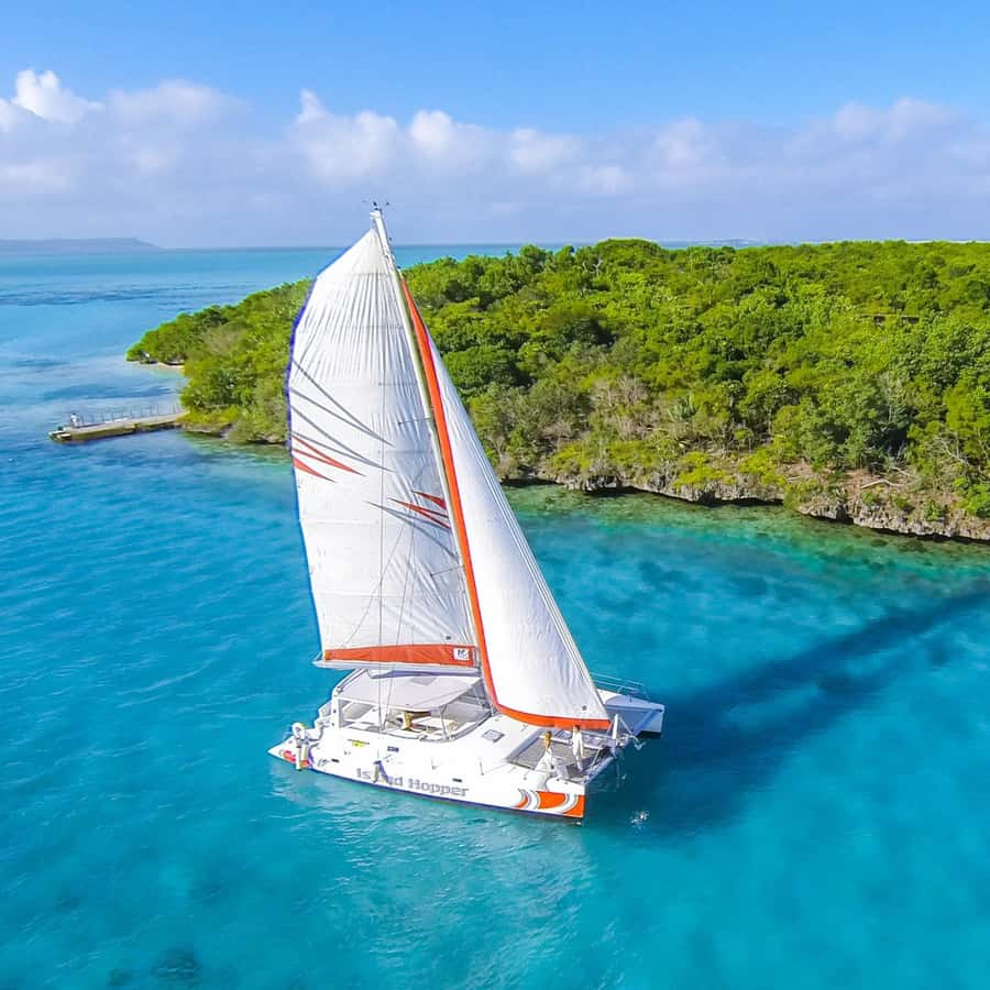 Catamaran trip to Ile Aux Cerfs With Two Way Transportation - The waterfall visit: a quick adventure stop that adds variety