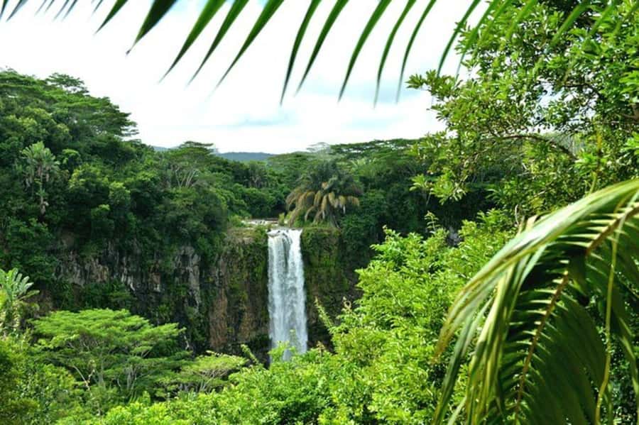 Chamarel: Southwest Mauritius Private Guided Day Tour - Naval modeling workshop: a craft lesson you can actually watch