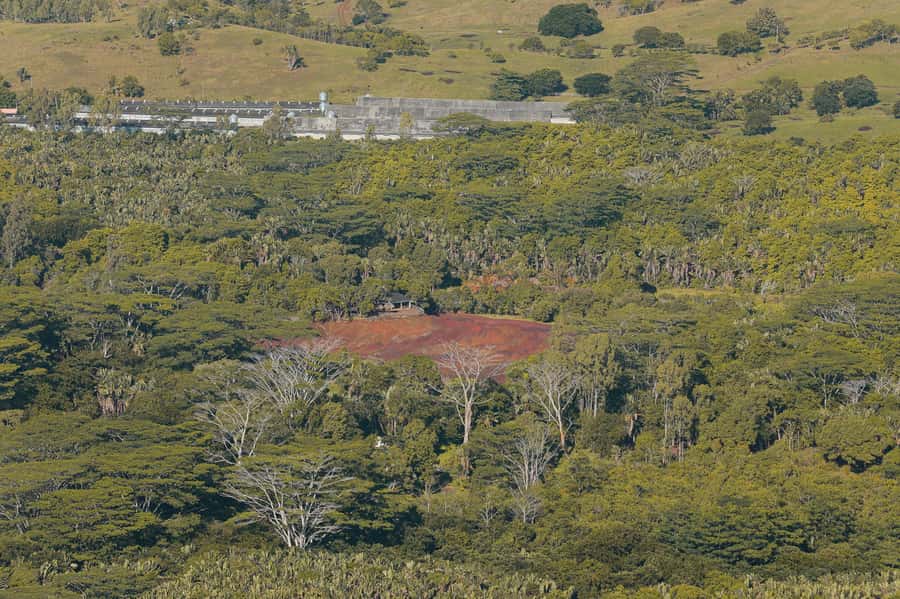 Chamarel: Sunset Mountain Hike - What the 3-hour hike feels like, step by step