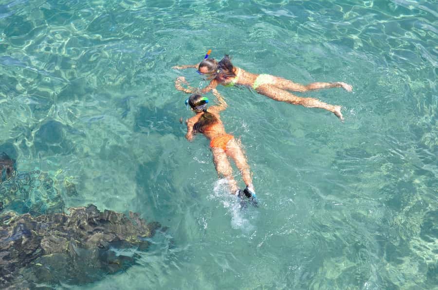 Coin de Mire 2-Hour Private Snorkeling Trip - Coin de Mire reef: why this spot works in just 2 hours