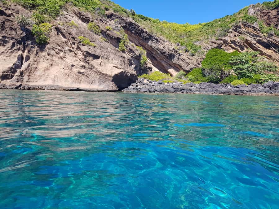 Coin de Mire 2-Hour Private Snorkeling Trip - Snorkeling at Coin de Mire: fish, shallow water, and gear reality