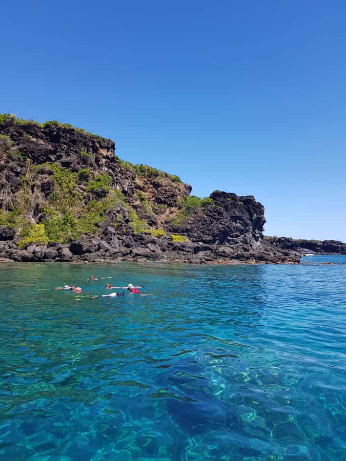 Coin de Mire 2-Hour Private Snorkeling Trip - Price and value: $412 per group up to 8