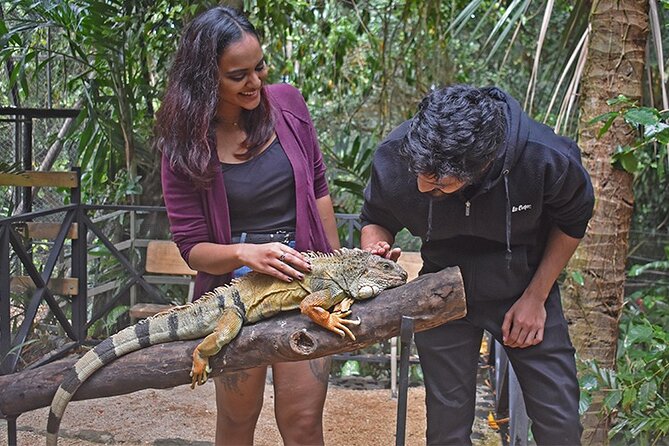 Crocodile Nature Park - Should you book Crocodile Nature Park in Mauritius?