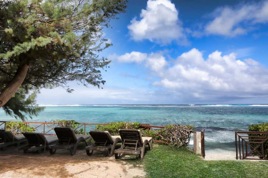 Day Trip at Ile aux Cerfs and other Gems of the South. - Guides and the private-boat value: when the small details matter