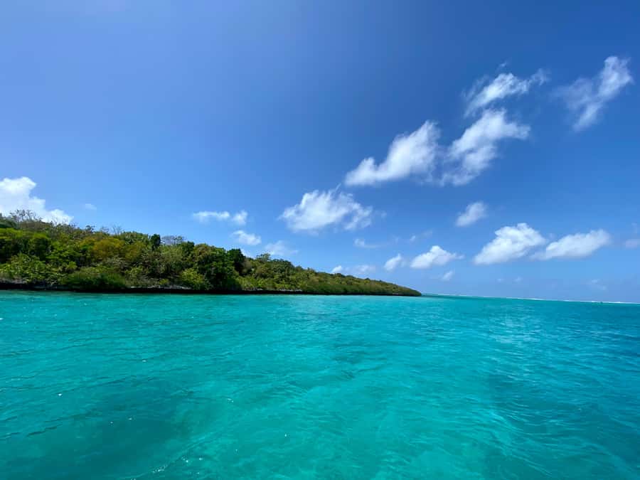 Day Trip at Ile aux Cerfs and other Gems of the South. - The boat time: why the multi-stop route is more fun than one straight shot