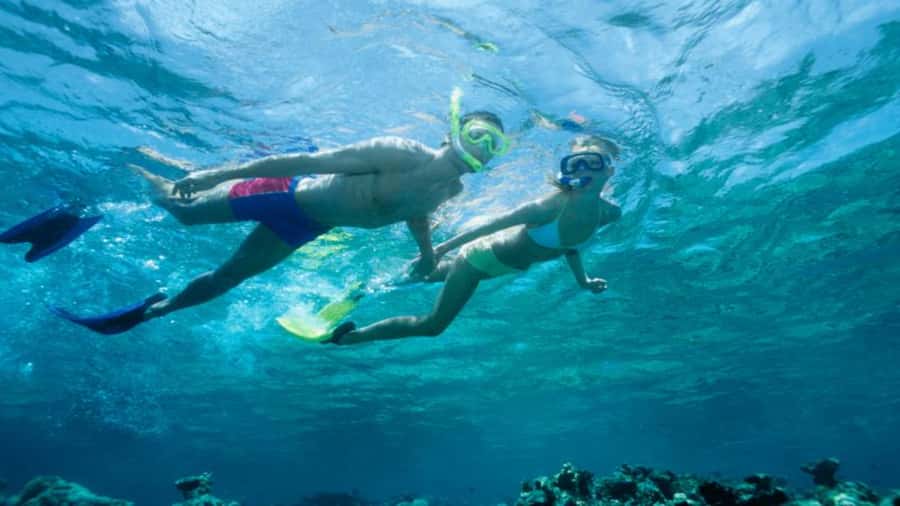 Discover Mauritius: Dolphin Watch, Snorkeling, BBQ Lunch - Pickup, Timing, and What to Bring for a Smooth Morning