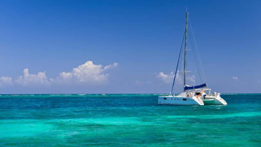Discover Mauritius: Dolphin Watch, Snorkeling, BBQ Lunch - Snorkeling on Mauritius: What You Get From the Setup