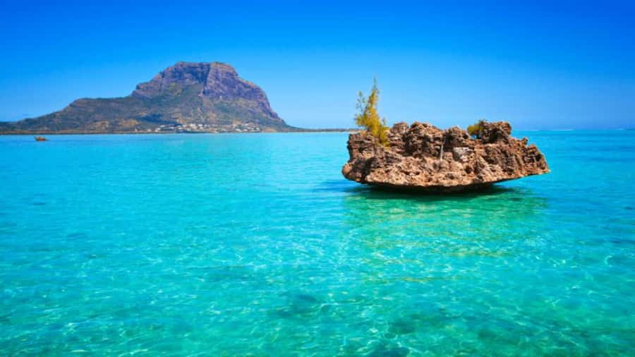 Discover Mauritius: Dolphin Watch, Snorkeling, BBQ Lunch - Dolphin Watching: Great When It Happens, Not a Sure Thing