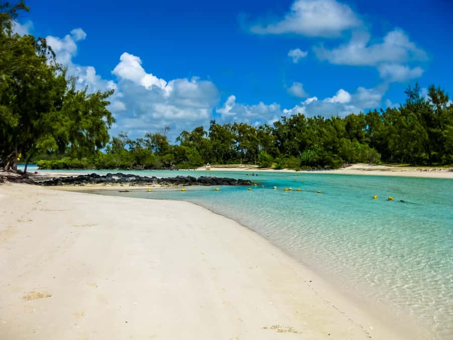 Discover Mauritius Full Day with Your Personal Driver-Guide - Port Louis in about 2 hours: practical city time, not a rushed blur