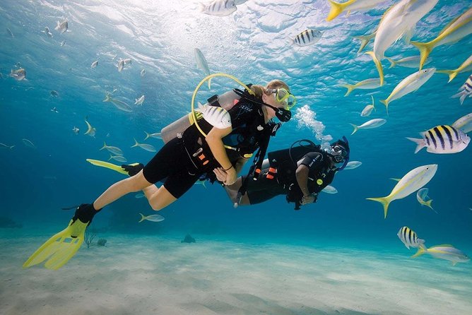 Discover Scuba Diving Experience - Pool Practice Makes the Difference, Here’s Why It’s Not a Waste of Time