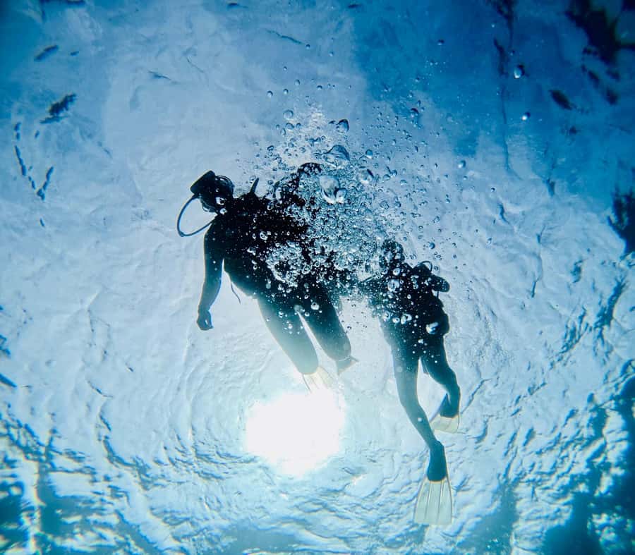 DISCOVER SCUBA DIVING IN LEMORNE with EasydiveMauritius - Should you book this try scuba experience at Le Morne?