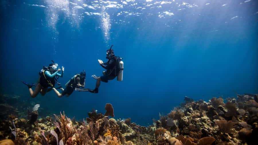 DISCOVER SCUBA DIVING IN LEMORNE with EasydiveMauritius - Instructor guidance and safety that actually helps first-timers