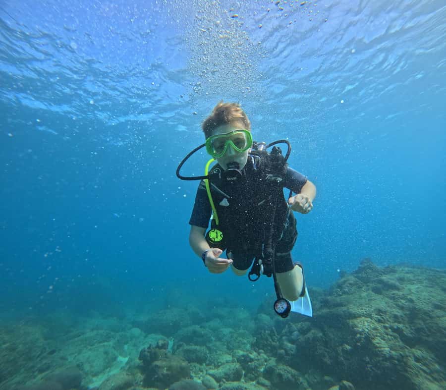 DISCOVER SCUBA DIVING IN LEMORNE with EasydiveMauritius - What you will do underwater at 3 to 12 metres