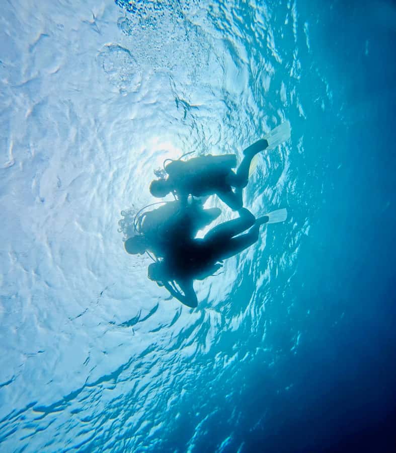 DISCOVER SCUBA DIVING IN LEMORNE with EasydiveMauritius - Price and value: is $159 worth it for a beginner session?